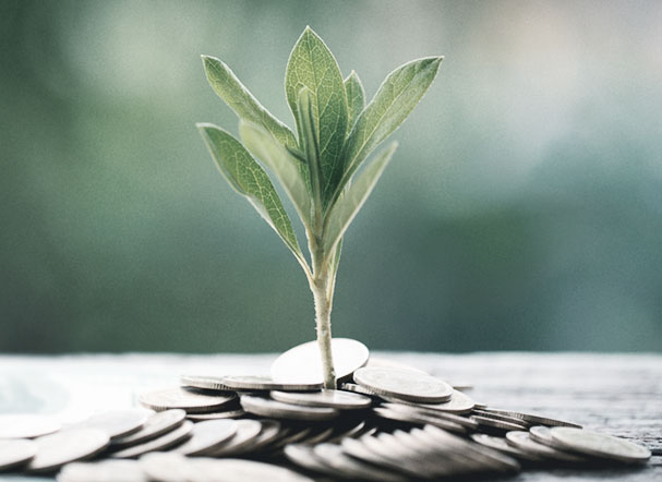 Plant seedling surrounded by coins