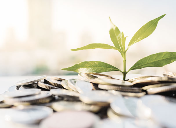 Green economy gains strength with the creation of a bureau