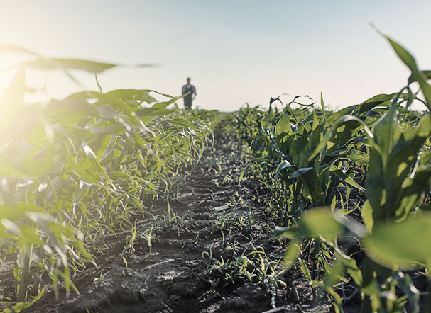 Agribusiness expectations for 2023